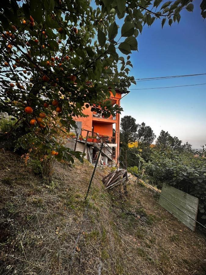 Il Bunker Villa Bolano Exteriör bild